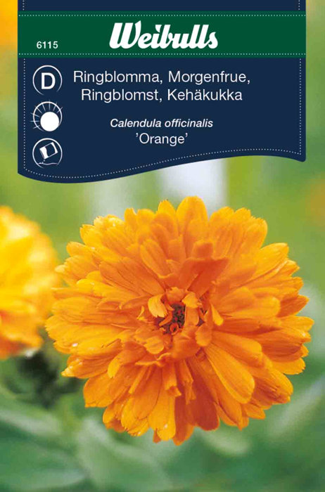 Ringblomst "Orange"